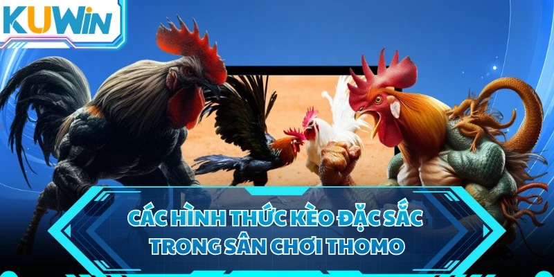Các hình thức kèo đặc sắc trong sân chơi Thomo