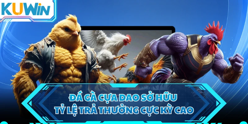 Đá gà cựa dao sở hữu tỷ lệ trả thưởng cực kỳ cao