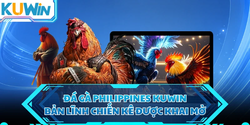 Đá Gà Philippines KUWIN - Bản Lĩnh Chiến Kê Được Khai Mở