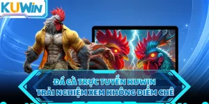 Đá Gà Trực Tuyến KUWIN - Trải Nghiệm Xem Không Điểm Chê