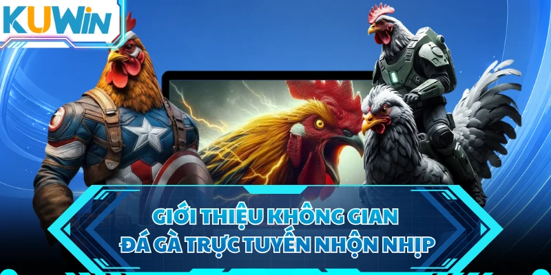 Giới thiệu không gian đá gà trực tuyến nhộn nhịp