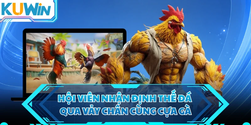 Hội viên nhận định thế đá qua vảy chân cùng cựa gà