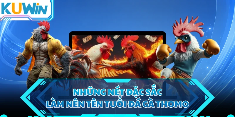 Những nét đặc sắc làm nên tên tuổi đá gà Thomo
