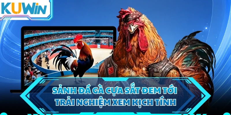 Sảnh đá gà cựa sắt đem tới trải nghiệm xem kịch tính