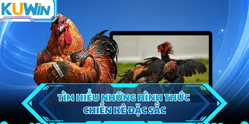 Tìm hiểu những hình thức chiến kê đặc sắc
